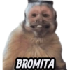 BROMITA