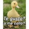Te gusto? o me callo?