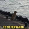 TO SÓ PENSANDO...