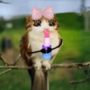 Meowl Michi cute 🥺🩷✨ 20