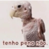 CONTÉM IRONIA 9