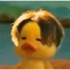 Bebek wkwkwk 10