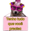 Placas de carnaval quente🔥🔥 9