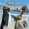 JOAO FRANGO 🤙 11