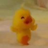 Bebek wkwkwk 14