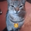 Comentarios de Tik tok 2 11
