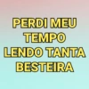 PERDI MEU TEMPO LENDO TANTA BESTEIRA