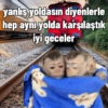 Monkey s 7