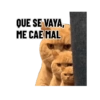 Vaya vaya 🙄😏 2