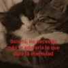 @ldentifies.me Solo tú, no necesito más te adoraría lo que dure la eternidad
