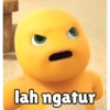 lah ngatur