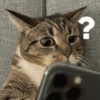 Gatitos bonitos 💗 29