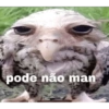 pode não man