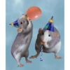 HAPPY BIRTHDAY 6