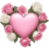 Spring emoji iPhone🌺 19