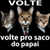Reações esquisitas 🤪 15