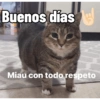 Los buenos días  14