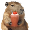 Capybara 🌻 8