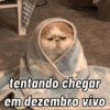 Play na semana 11