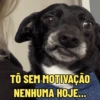 TÔ SEM MOTIVAÇÃO NENHUMA HOJE...