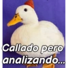 Callado pero analizando...
