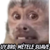 UY BRO, MÉTELE SUAVE