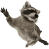 Animals 27