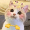 Gatos de amor  30