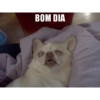 SEGUNDOU @GerenciamentoSocial 4