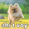 Perritos xd 6