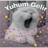 Mood turkey 8
