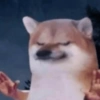 Memes mais usados  7