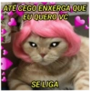 Surto de AMOR 🤫 8