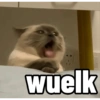 Meow Pi Miew 14