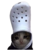 Gatos Sad 10