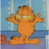 Garfield Cat 18
