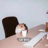 *Sorbito 小红书 JT ID: 531190766
