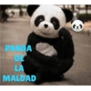 FRASES DE YOLO AVENTURAS 10