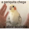 Opam 7