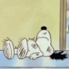 Snoopy fora de contexto 🐶 8
