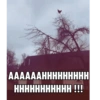 Kakakakaaak 9