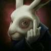 Rude bunny