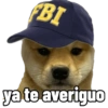 Perritos tácticos 🔥 9