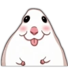 🐭🐀 Hamster 4 🐭🐀 18