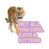 Tiger King 5