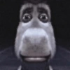 Burro do Shrek 20