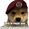 Perritos tácticos 🔥 27