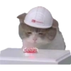 Gato del botón de muerte