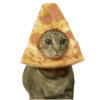 Gatos Sad 15