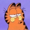 Garfield Cat 13